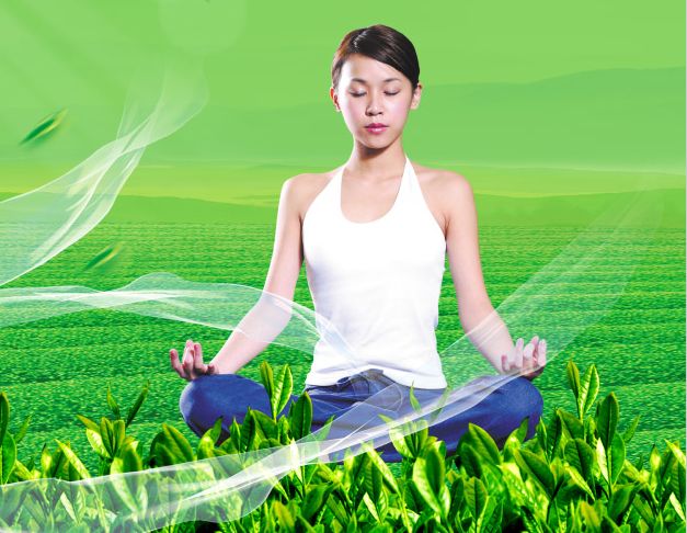做个假蒙古护照